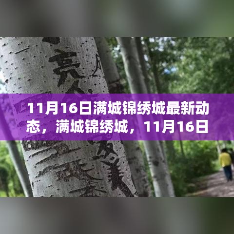 满城锦绣城新篇章开启，11月16日最新动态