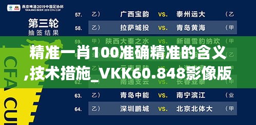 精准一肖100准确精准的含义,技术措施_VKK60.848影像版