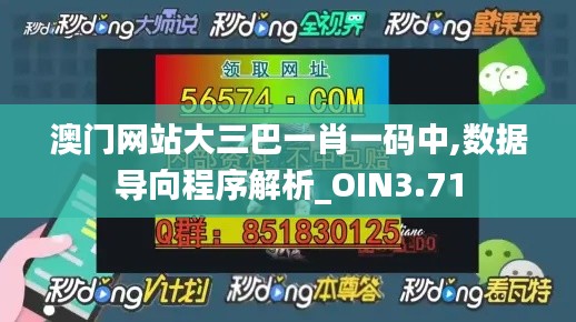 澳门网站大三巴一肖一码中,数据导向程序解析_OIN3.71