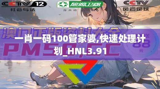 一肖一码100管家婆,快速处理计划_HNL3.91