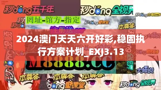 2024澳门天天六开好彩,稳固执行方案计划_EXJ3.13