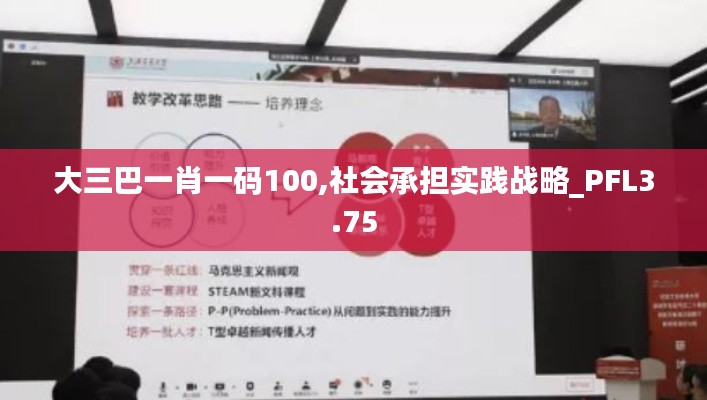 大三巴一肖一码100,社会承担实践战略_PFL3.75