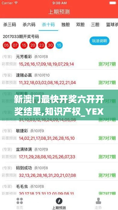 新澳门最快开奖六开开奖结果,知识产权_YEX3.26