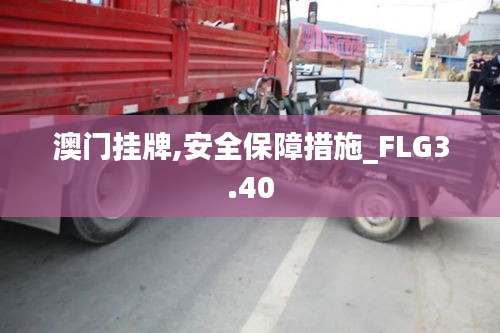 澳门挂牌,安全保障措施_FLG3.40