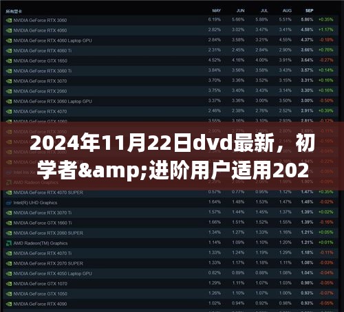 2024年11月22日dvd最新，初学者&进阶用户适用2024年DVD最新技术体验指南，一步步带你探索DVD新境界