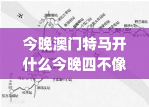 今晚澳门特马开什么今晚四不像,实时数据分析_HET3.70