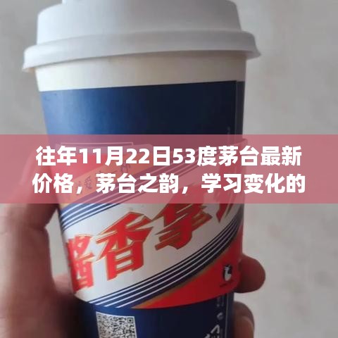 往年11月22日53度茅台最新价格，茅台之韵，学习变化的力量与价格奇迹的励志之旅