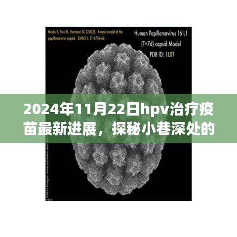 2024年11月22日hpv治疗疫苗最新进展，探秘小巷深处的疫苗新知，HPV治疗疫苗的最新进展与一家隐藏式特色小店的奇妙邂逅