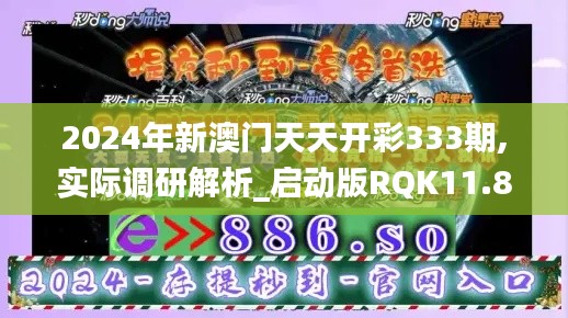 2024年新澳门天天开彩333期,实际调研解析_启动版RQK11.88