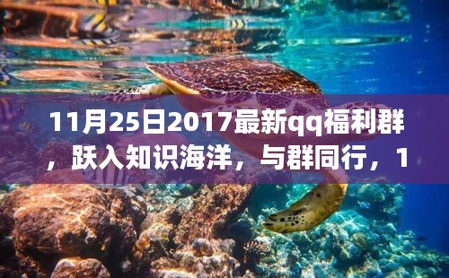 11月25日QQ福利群启航新征程，跃入知识海洋，与群友同行共享福利