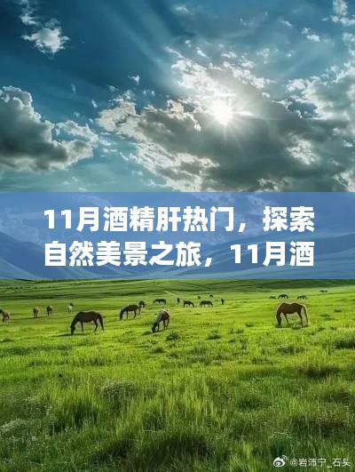 11月酒精肝热门，探索自然美景之旅，11月酒精肝热门，放下疲惫，寻找内心的宁静与平和