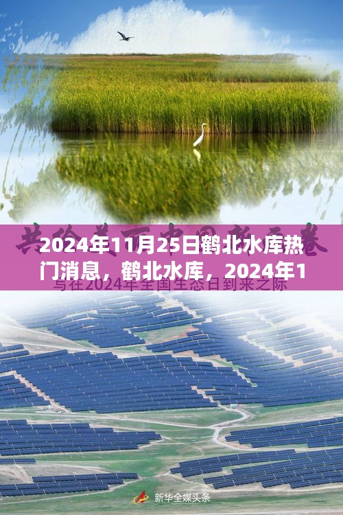 鹤北水库，时代印记下的热门消息，2024年11月25日纪实报道