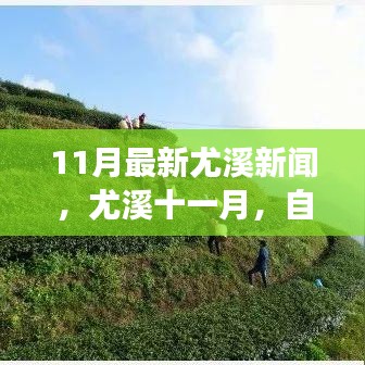 尤溪十一月自然之旅，探寻内心宁静与平和的最新新闻