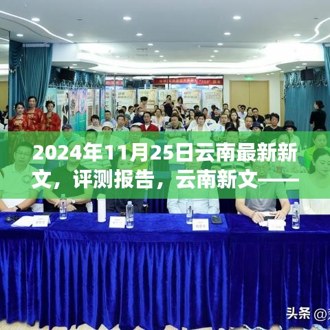 深度解析与用户体验洞察，云南新文最新评测报告（2024版）