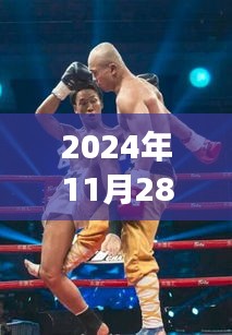 武林风最新一期视频评测报告，深度解读武林英雄风采，2024年11月28日武林风最新一期视频展示