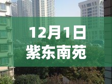 12月1日紫东南苑最新消息，紫东南苑，一场寻找内心平静的奇妙之旅