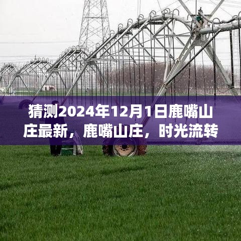 鹿嘴山庄，时光流转中的传奇，展望未来的新篇章（2024年12月）