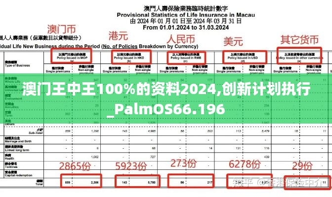 澳门王中王100%的资料2024,创新计划执行_PalmOS66.196