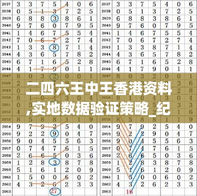 二四六王中王香港资料,实地数据验证策略_纪念版94.339