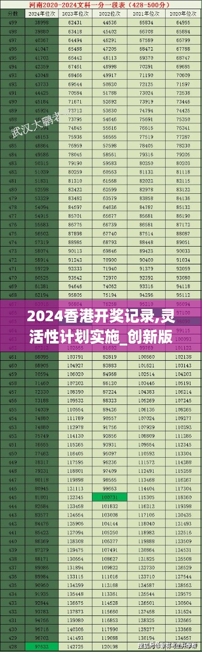 2024香港开奖记录,灵活性计划实施_创新版51.543