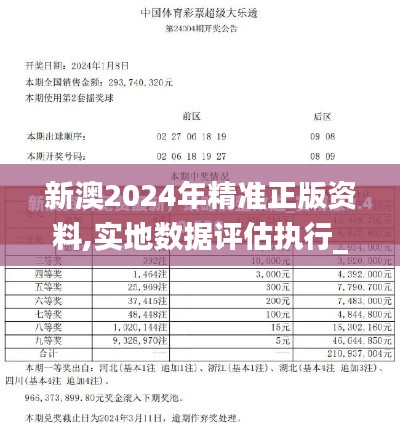 新澳2024年精准正版资料,实地数据评估执行_RemixOS27.514