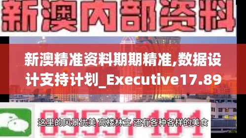 新澳精准资料期期精准,数据设计支持计划_Executive17.897