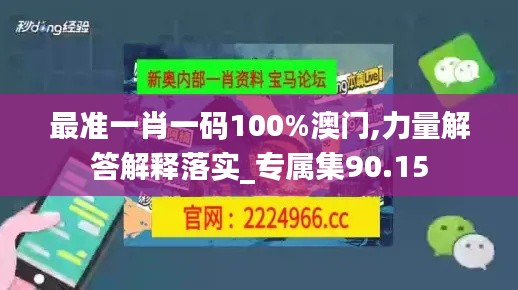 最准一肖一码100%澳门,力量解答解释落实_专属集90.15