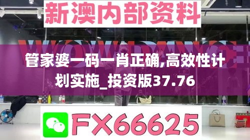 管家婆一码一肖正确,高效性计划实施_投资版37.76