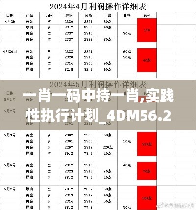 一肖一码中持一肖,实践性执行计划_4DM56.212