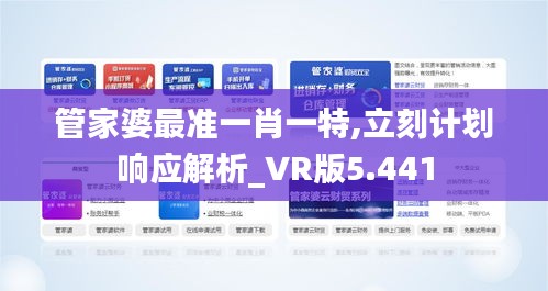 管家婆最准一肖一特,立刻计划响应解析_VR版5.441