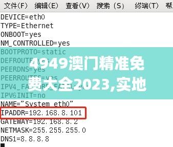 4949澳门精准免费大全2023,实地验证数据计划_Phablet89.14