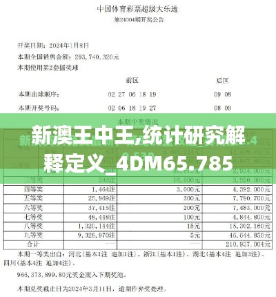 新澳王中王,统计研究解释定义_4DM65.785