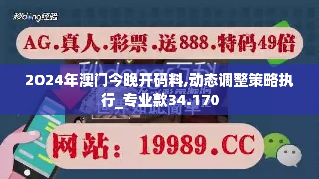 2O24年澳门今晚开码料,动态调整策略执行_专业款34.170