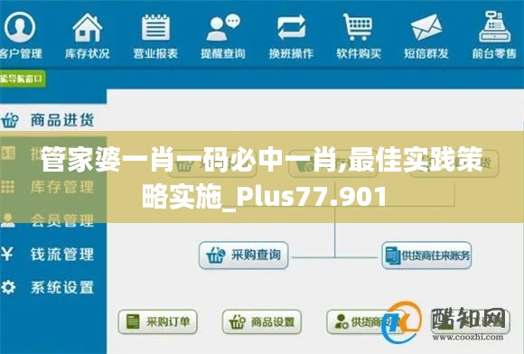 管家婆一肖一码必中一肖,最佳实践策略实施_Plus77.901