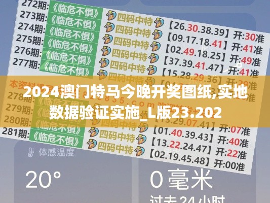 2024澳门特马今晚开奖图纸,实地数据验证实施_L版23.202