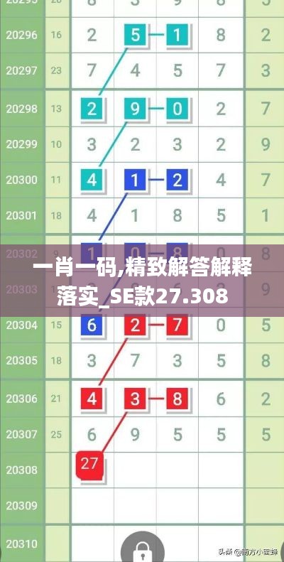 一肖一码,精致解答解释落实_SE款27.308