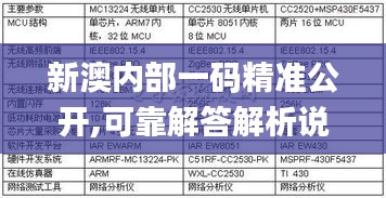 新澳内部一码精准公开,可靠解答解析说明_精英版24.394