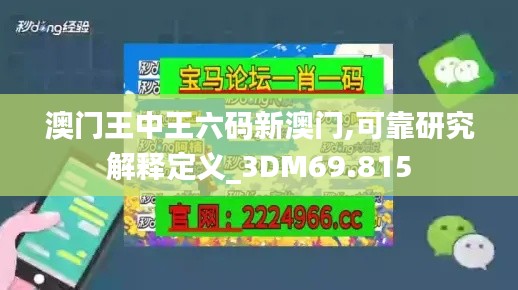 澳门王中王六码新澳门,可靠研究解释定义_3DM69.815