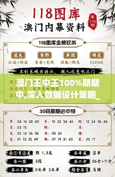 澳门王中王100%期期中,深入数据设计策略_专属款18.307