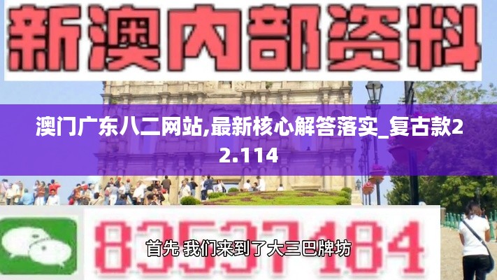 澳门广东八二网站,最新核心解答落实_复古款22.114