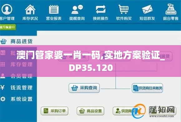 澳门管家婆一肖一码,实地方案验证_DP35.120