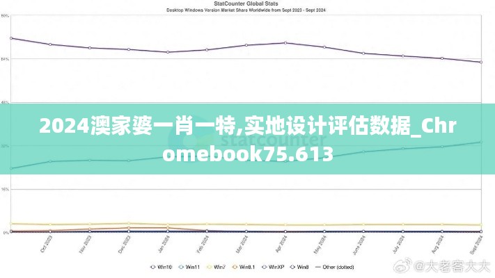 2024澳家婆一肖一特,实地设计评估数据_Chromebook75.613