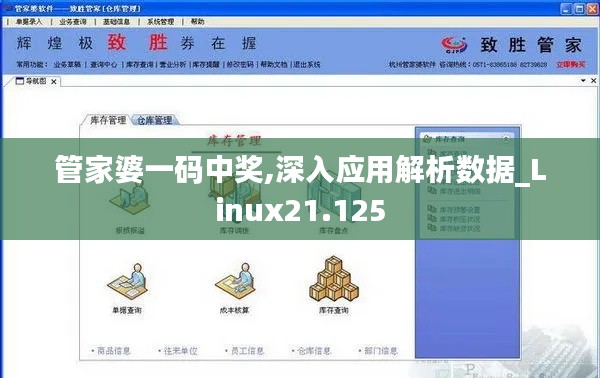 管家婆一码中奖,深入应用解析数据_Linux21.125