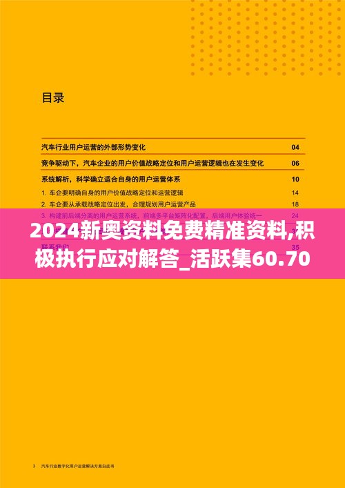 2024新奥资料免费精准资料,积极执行应对解答_活跃集60.701