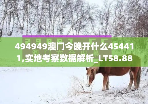 494949澳门今晚开什么454411,实地考察数据解析_LT58.889