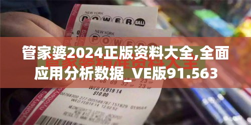 管家婆2024正版资料大全,全面应用分析数据_VE版91.563