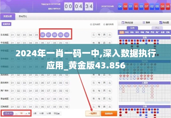 2024年一肖一码一中,深入数据执行应用_黄金版43.856