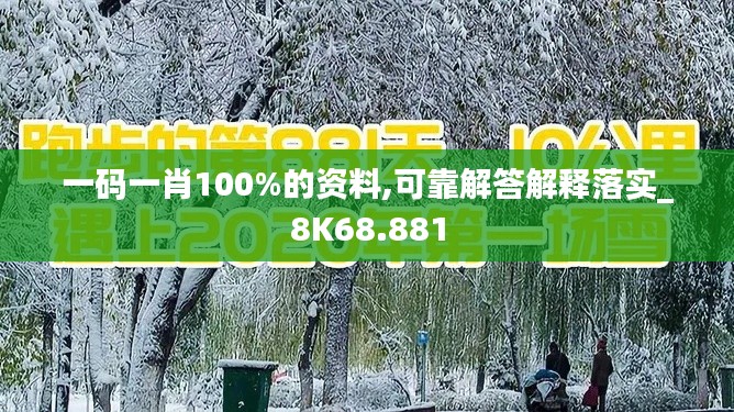 一码一肖100%的资料,可靠解答解释落实_8K68.881