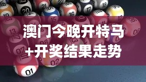 澳门今晚开特马+开奖结果走势图,实践策略设计_2DM33.554