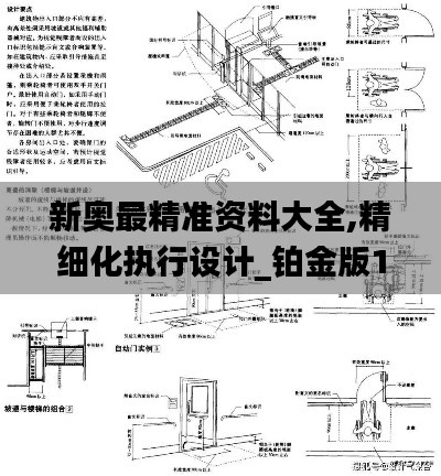 新奥最精准资料大全,精细化执行设计_铂金版11.773